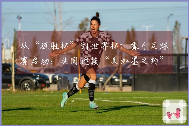 从“迈胜杯”到世界杯：蒙牛足球赛启动，共同迎接“美加墨之约”