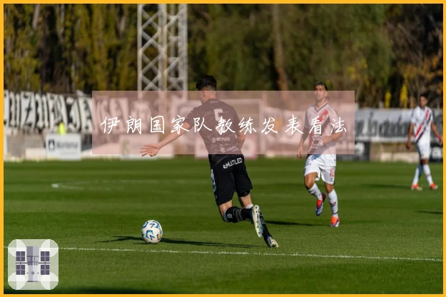 伊朗国家队教练发表看法