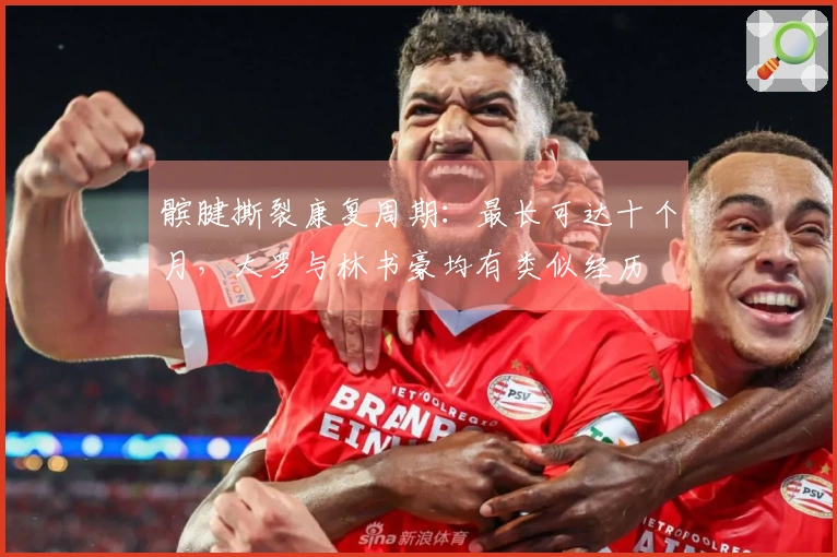 髌腱撕裂康复周期：最长可达十个月，大罗与林书豪均有类似经历