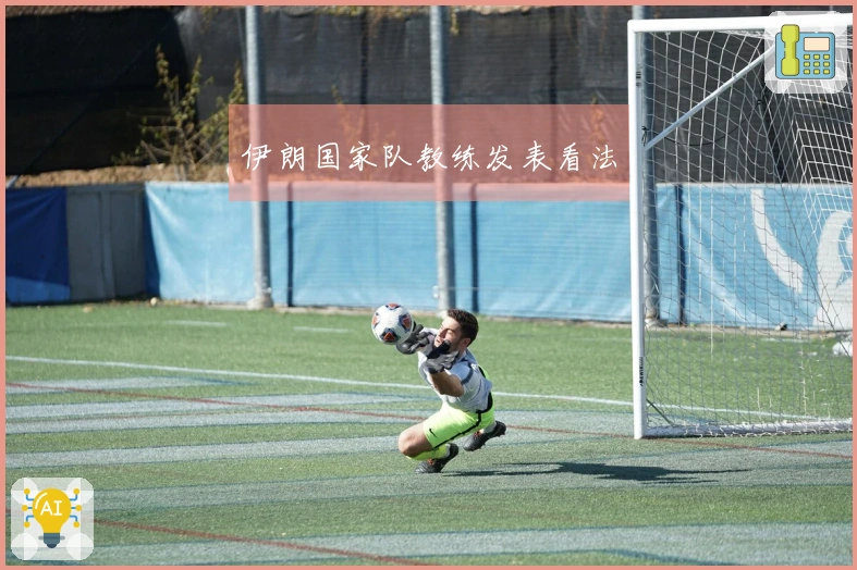 伊朗国家队教练发表看法