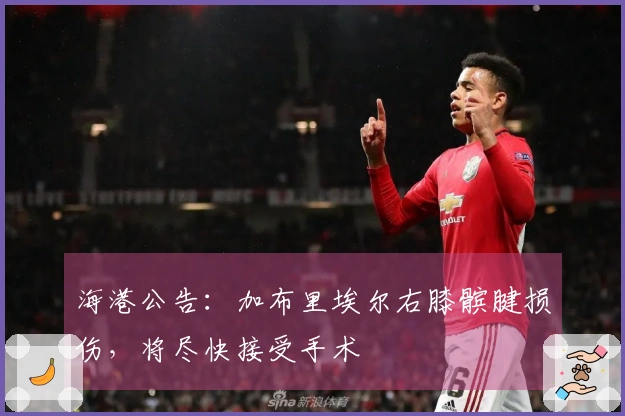 海港公告：加布里埃尔右膝髌腱损伤，将尽快接受手术