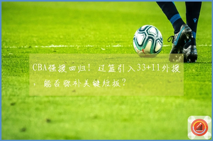 CBA强援回归！辽篮引入33+11外援，能否弥补关键短板？